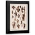 thumbnail image 1 of Sowerby, G.B. 11x14 Black Modern Framed Museum Art Print Titled - Shells: Trachelipoda #6 (Sepia), 1 of 5