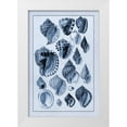 thumbnail image 1 of Sowerby, G.B. 11x14 White Modern Wood Framed Museum Art Print Titled - Shells: Purpurifera (Blue), 1 of 4