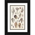 thumbnail image 1 of Sowerby, G.B. 12x18 Black Ornate Wood Framed with Double Matting Museum Art Print Titled - Seashell Array II, 1 of 4