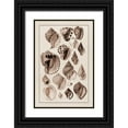 thumbnail image 1 of Sowerby, G.B. 13x18 Black Ornate Wood Framed with Double Matting Museum Art Print Titled - Shells: Purpurifera (Sepia), 1 of 4