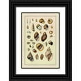 thumbnail image 1 of Sowerby, G.B. 13x18 Black Ornate Wood Framed with Double Matting Museum Art Print Titled - Shells: Sessile Cirripedes #2, 1 of 4