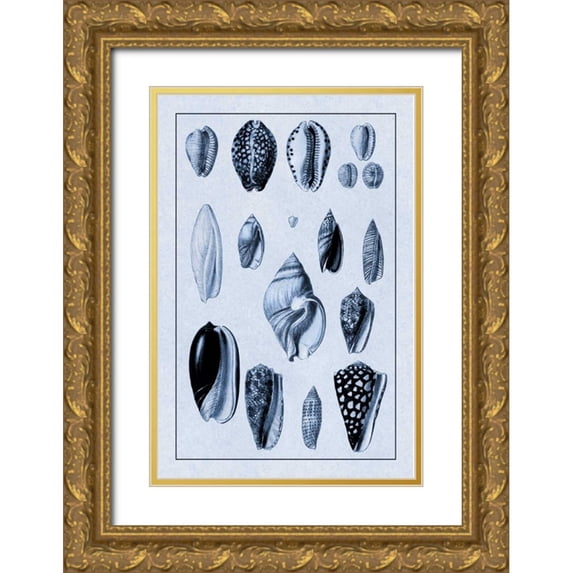 Sowerby, G.B. 13x18 Gold Ornate Wood Framed with Double Matting Museum Art Print Titled - Shells: Convoltae and Orthocerata (Blue)
