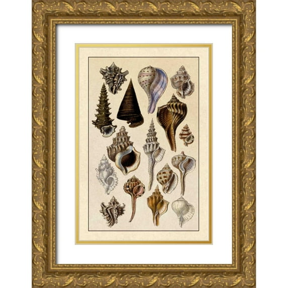 Sowerby, G.B. 17x24 Gold Ornate Wood Framed with Double Matting Museum Art Print Titled - Shells: Trachelipoda #4