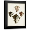 thumbnail image 1 of Sowerby, James 12x14 Black Modern Framed Museum Art Print Titled - Sowerby Shells III, 1 of 5