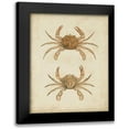 thumbnail image 1 of Sowerby, James 15x18 Black Modern Framed Museum Art Print Titled - Crustaceans VI, 1 of 5