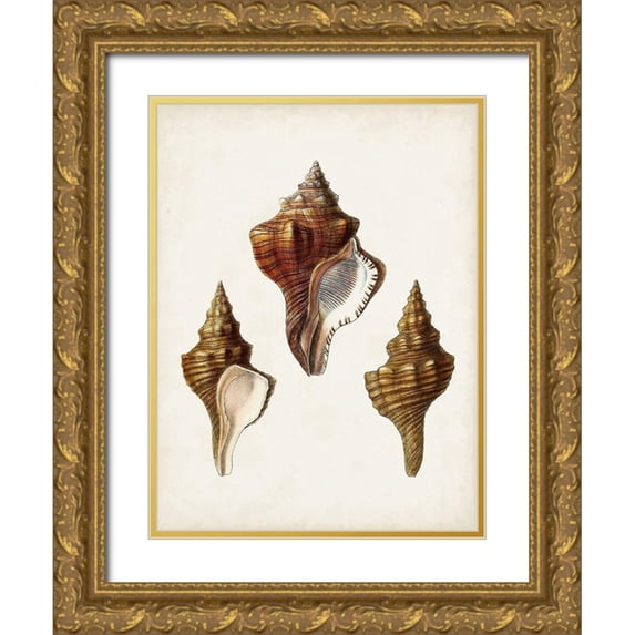 Sowerby, James 15x18 Gold Ornate Wood Framed with Double Matting Museum Art Print Titled - Sowerby Shells IX