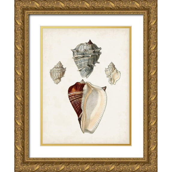 Sowerby, James 19x24 Gold Ornate Wood Framed with Double Matting Museum Art Print Titled - Sowerby Shells II