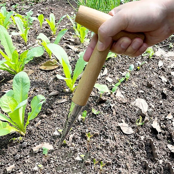 Sowing Drilling Transplanting Fertilizing Stainless Steel Horticultural Vegetable Flower Seeder Tool