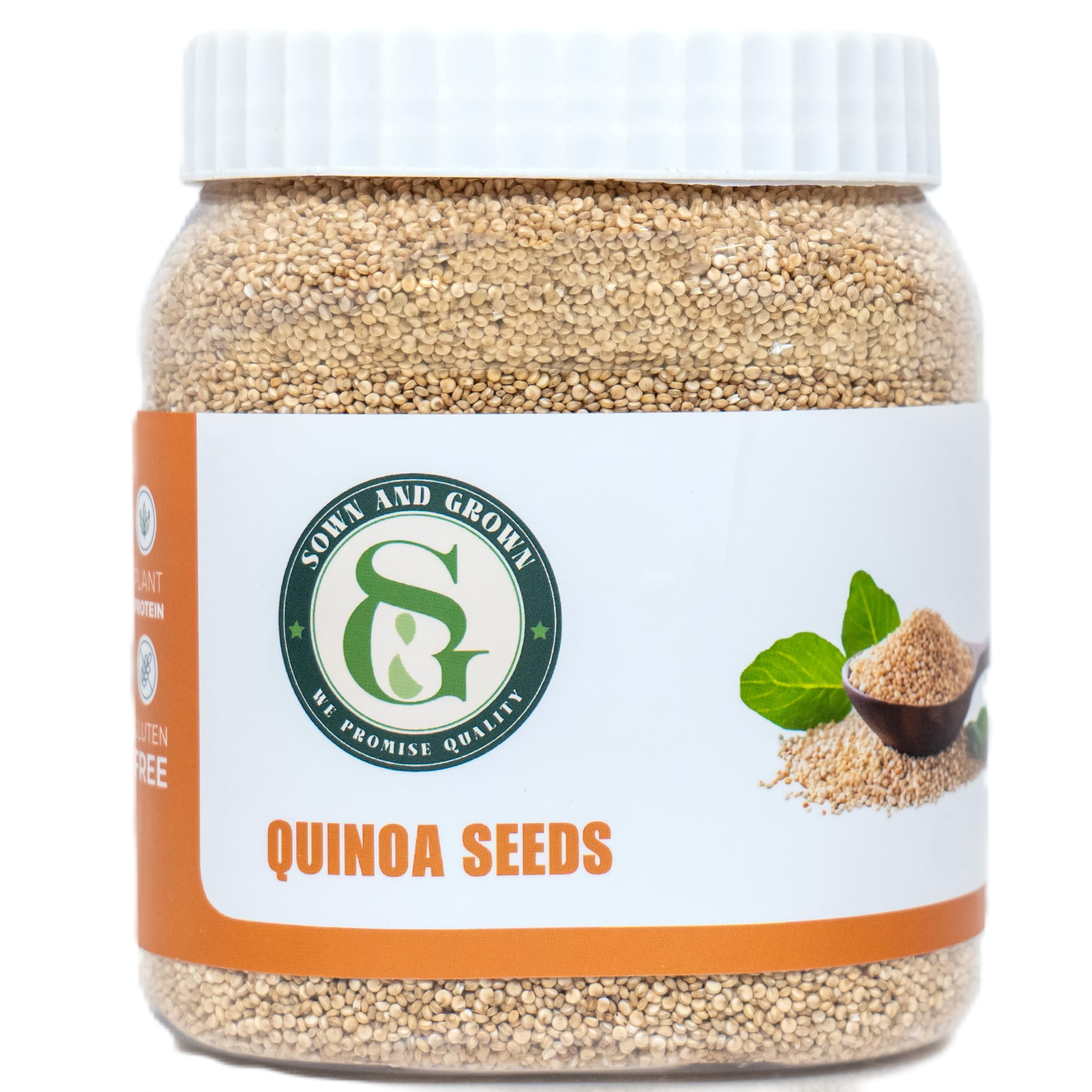 Sown and Grown White Quinoa 1.5lb Whole Quinoa Diet Food for Weight