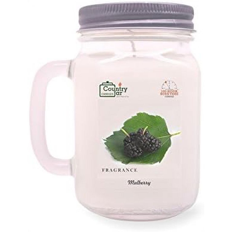 Winter Collection 16 oz. Mason Jar Candle