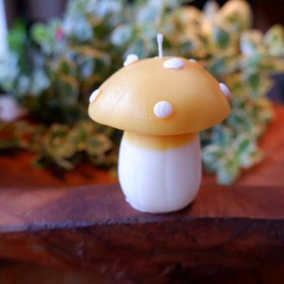 Soy Wax Mushroom Candles