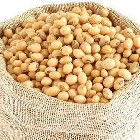 Soya Beans