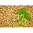 thumbnail image 1 of Soybeans (8Lbs) Gluten Free, Great for Salad Sprouts Grown in Iowa, Vegetarian Diet, Tofu, Soymilk. Soybean Seeds, 1 of 4