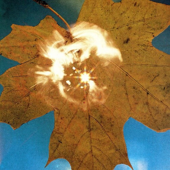 Soyuz - Force Of The Wind - Music & Performance - CD