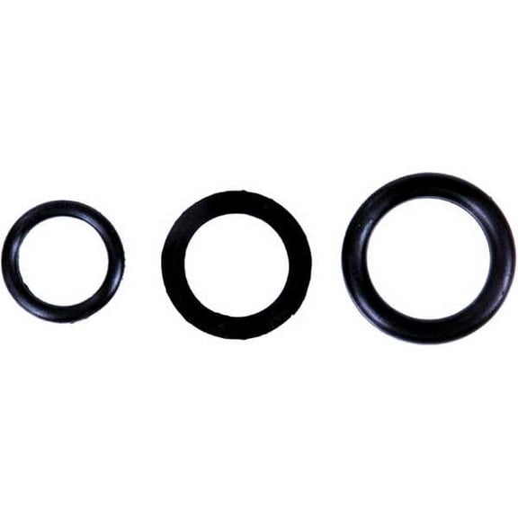 Sp1 New Windshield O-Ring, 44-3215