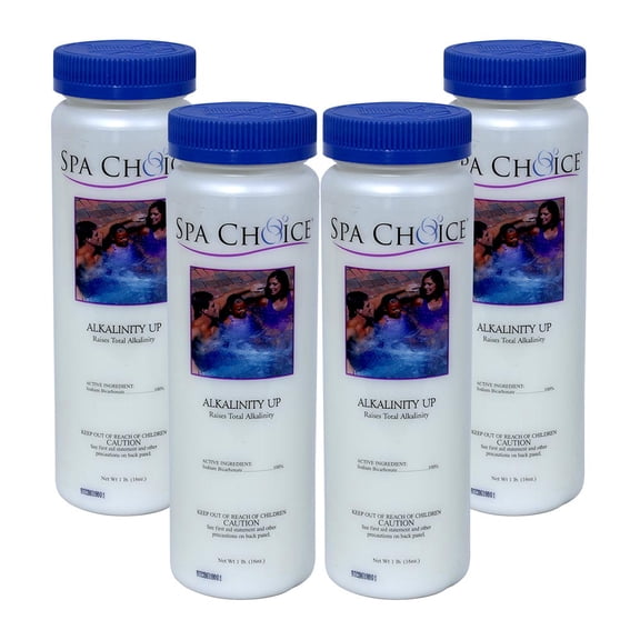 Spa Choice Alkalinity Up - 4 Lbs