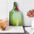 thumbnail image 1 of Spa Cutting Board, Stones and Bamboo Leaves on the Water Pool Freshness Relaxing Theme, Decorative Tempered Glass Cutting and Serving Board, Wine Bottle Shape, Apple Green Magenta, by Ambesonne, 1 of 5