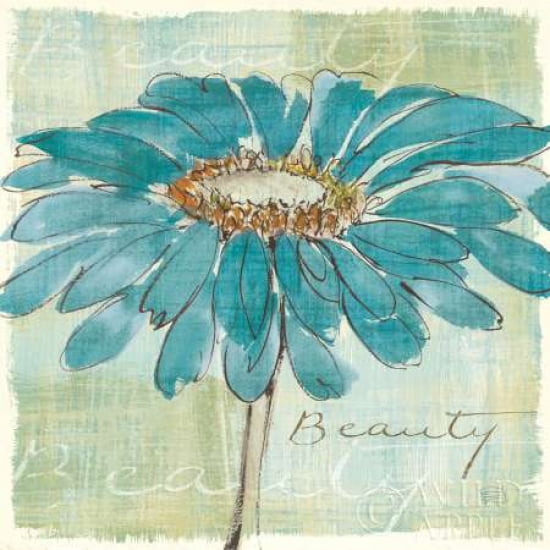 Spa Daisies I Canvas Art - Chris Paschke (24 x 24)