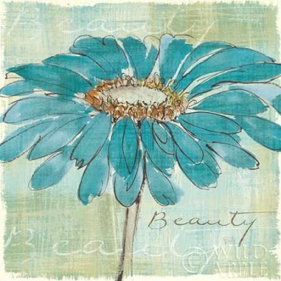 Spa Daisies I Canvas Art - Chris Paschke (24 x 24)