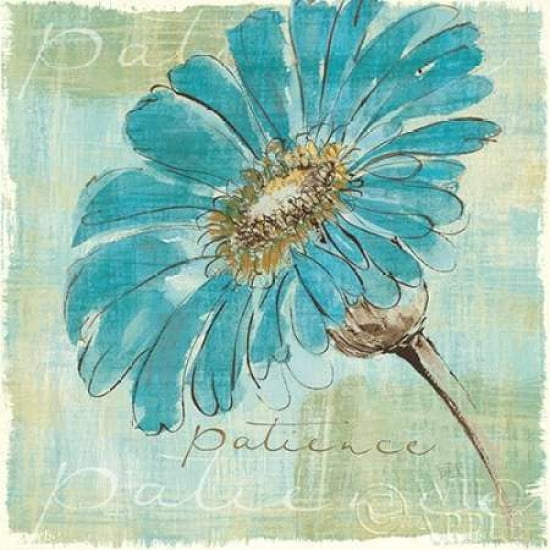 Spa Daisies II Canvas Art - Chris Paschke (24 x 24)