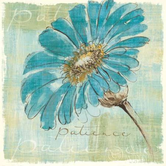 Spa Daisies II Canvas Art - Chris Paschke (24 x 24)