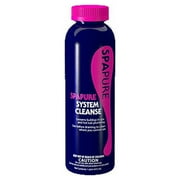 Spa Pure System Cleanse Pint Pipe and Cleaner Water Treatment Spa C005128-CS40P 1 lb