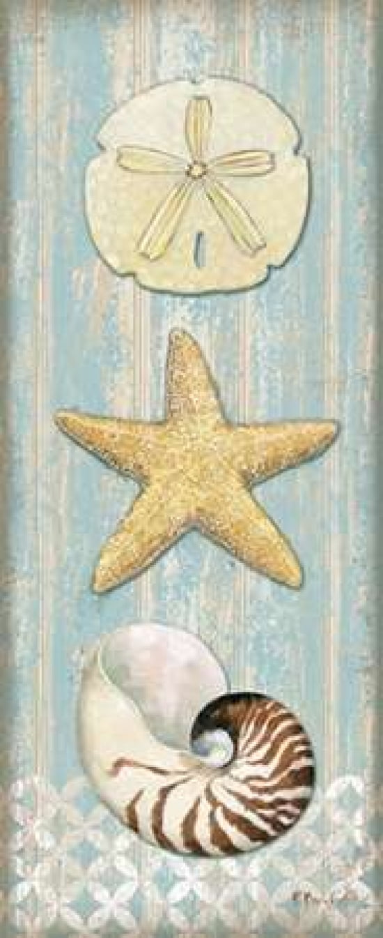 Spa Shells Vertical I Canvas Art - Paul Brent (10 x 20)
