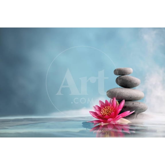 Spa Still Life with Water Lily and Zen Stone in a Serenity Pool, Botanical Unframed Photographic Print Wall Art by Sofiaworld Sold by ArtCom