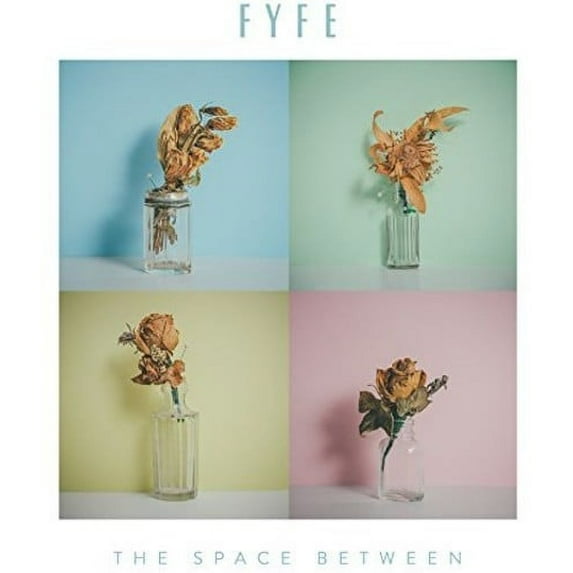 Space Between (CD)
