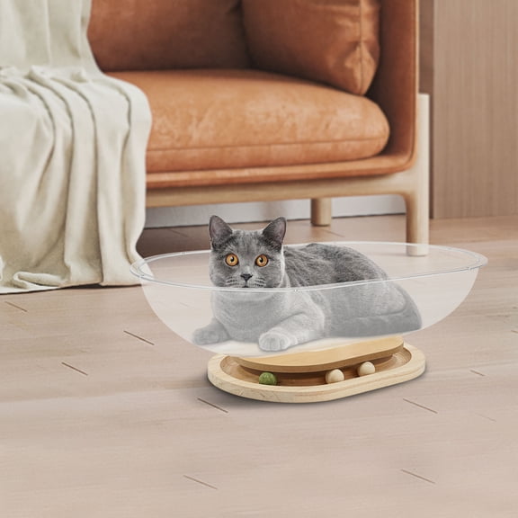 Space Capsule Cat Bed, Indoor Cats Bed Cat Nest With Track Balls Toy, Ellipse