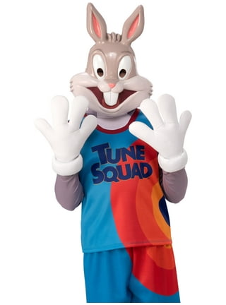  Rubie's Girl's Warner Bros. Space Jam Lola Bunny Tune Squad  Costume, Small : Clothing, Shoes & Jewelry