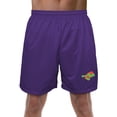 thumbnail image 1 of Space Jam Logo Mens Lined Mesh Shorts, Purple, Large, 1 of 6