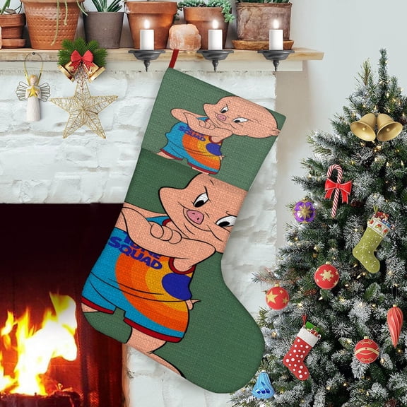 Space Jam Themed Christmas Socks