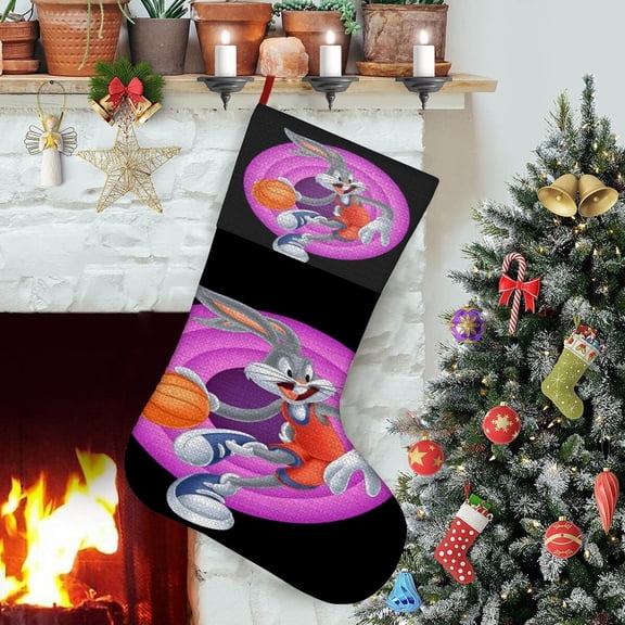 Space Jam Themed Christmas Socks