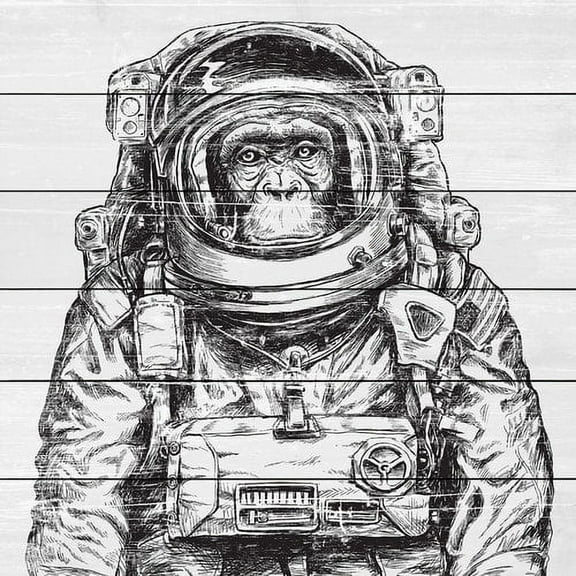 Space Monkey Painting Print on White Wood