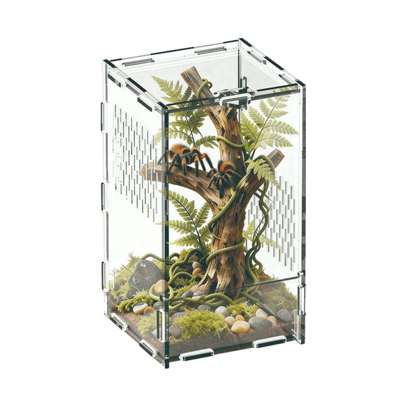 Space Saving Amphibian Terrarium Tanks With Wide Viewing Area Observation Enclosure Box for Jumping Spiders Reptiles