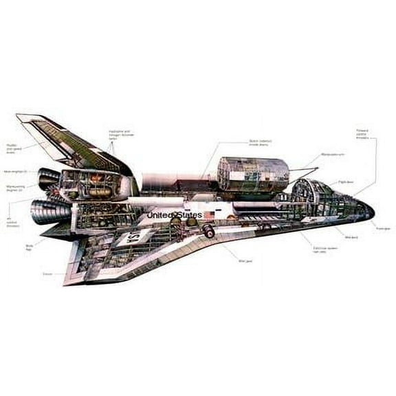 Space Shuttle Cutaway Nasa Poster Art Poster 24x36 Unframed, Age: Adults, Rectangle Best Posters
