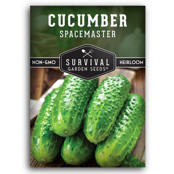 Spacemaster Cucumber Seeds - Non-GMO Heirloom Full Sun Annual Vegetable - 1 Pack