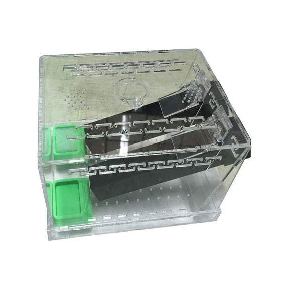 Spacious Crickets Keeper Enclosure Large Capacity With Feeding Tubs And Hide Tube