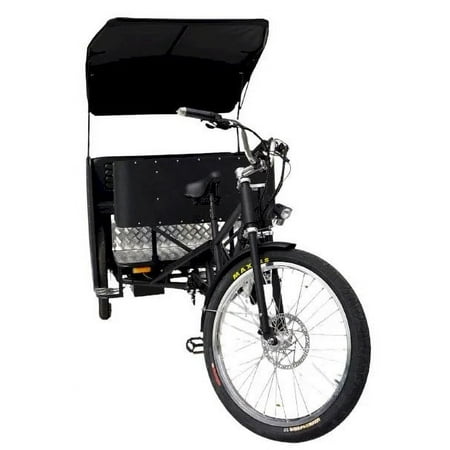 Spacious Electric Pedicab Rickshaw for Five Persons