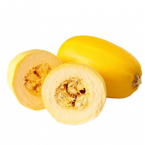 Spaghetti Squash Seed, Heirloom, 500 Seeds, Non GMO, Healthy Vegetable. This Squash gets its Name from The Spaghetti Like Strands That Come Out of it Once Cooked.