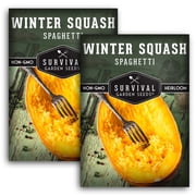 Spaghetti Winter Squash Vegetable Seeds 2 Pack - Full Sun Annual