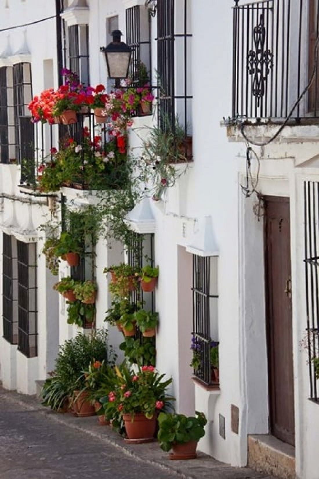 Spain Andalucia Region Cadiz Grazalema Potted plants by a home Canvas Art - Julie Eggers DanitaDelimont (18 x 24)
