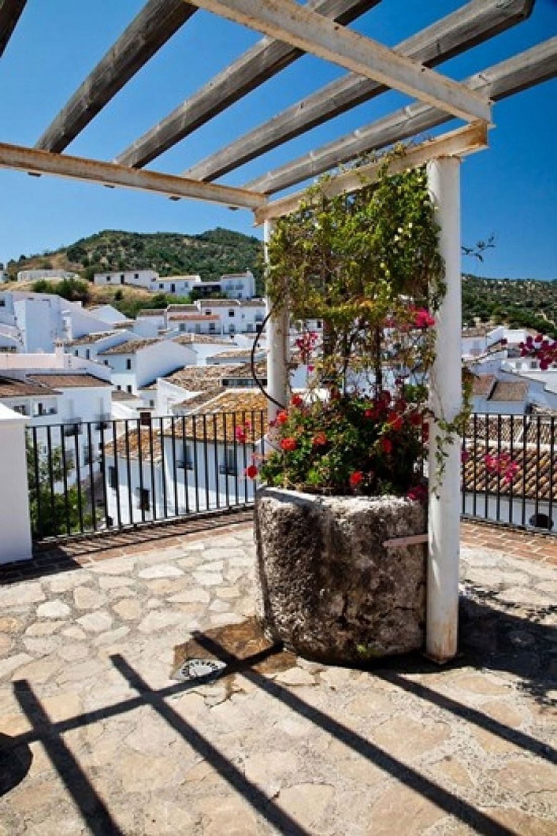 Spain Andalusia Cadiz Province Potted plants Overlooking Rooftops Canvas Art - Julie Eggers DanitaDelimont (18 x 24)