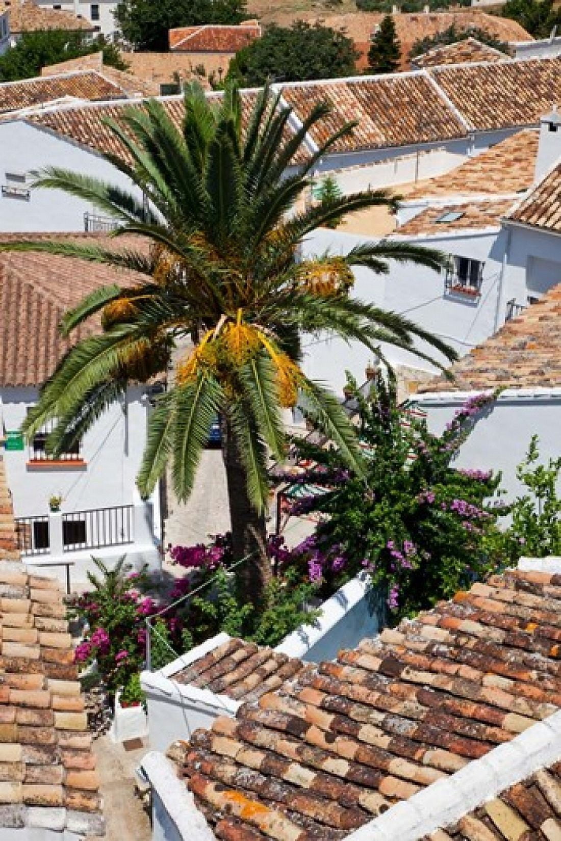 Spain Andalusia Zahara Rooftops in the Andalusian White Village Canvas Art - Julie Eggers DanitaDelimont (25 x 38)