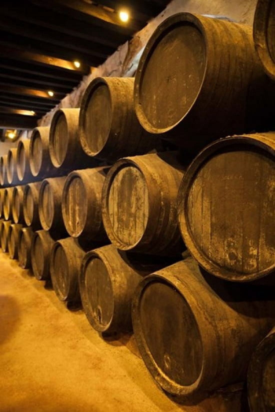 Spain Bodegas Gonzalez Byass Winery Casks Canvas Art - Walter Bibikow DanitaDelimont (18 x 24)