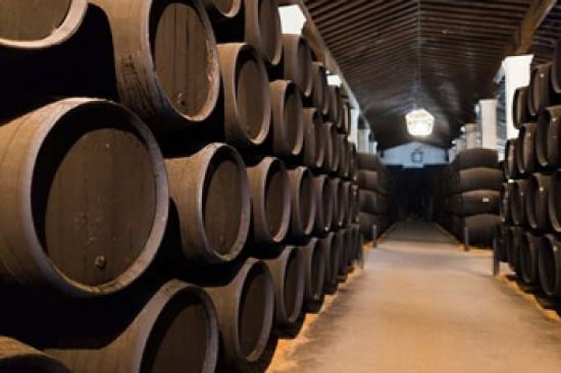 Spain Bodegas Gonzalez Byass Winery Casks Canvas Art - Walter Bibikow DanitaDelimont (38 x 25)