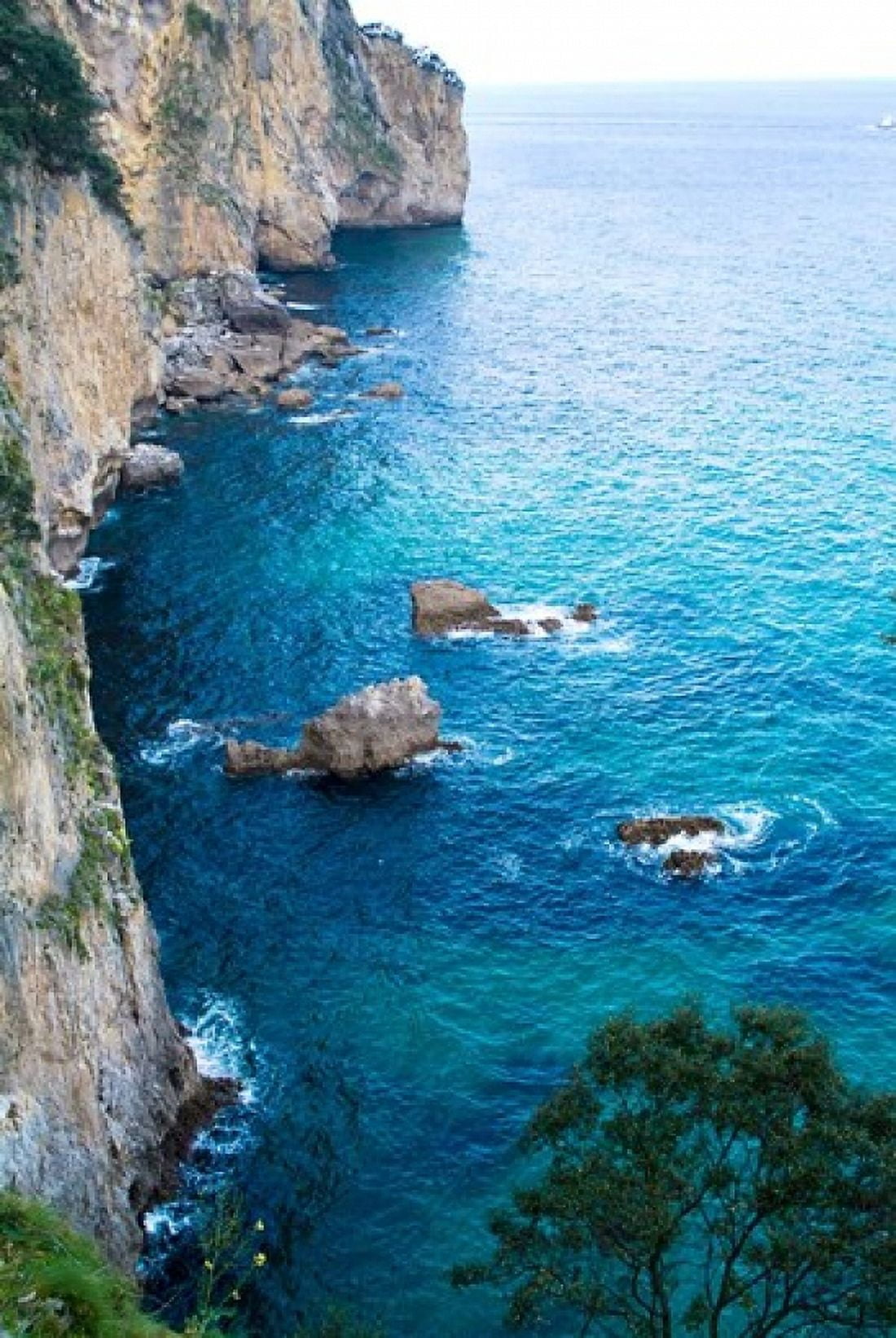 Spain Cantabria Faro del Caballo Mount Buciero Cliffs Canvas Art - Prisma Archivo DanitaDelimont (25 x 37)