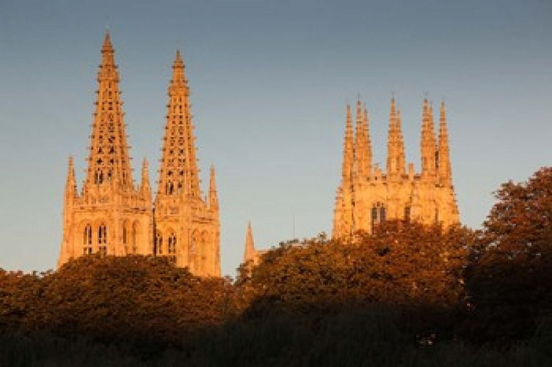 Spain Castilla y Leon Burgos Cathedral Dawn Canvas Art - Walter Bibikow DanitaDelimont (38 x 25)