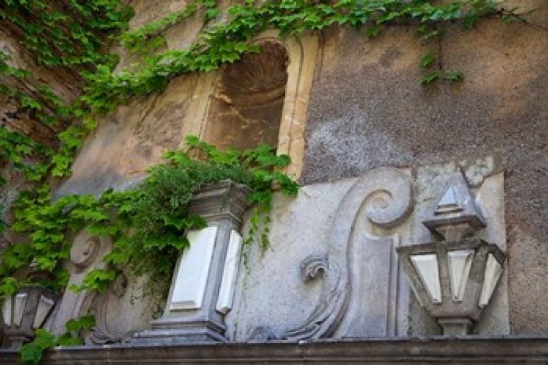 Spain Granada Ivy growing on the walls of the Alhambra Canvas Art - Julie Eggers DanitaDelimont (19 x 12)